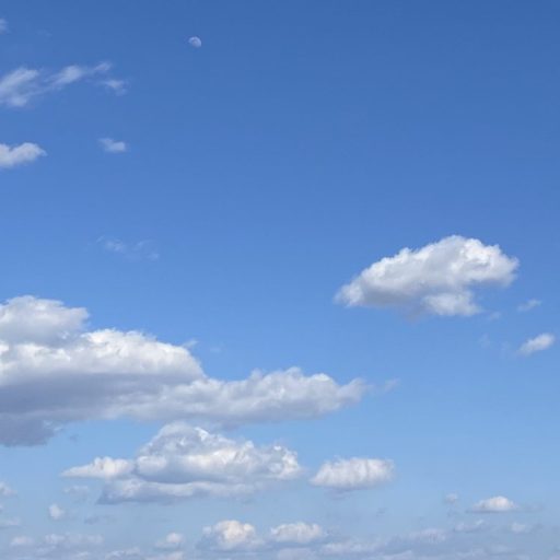 ヌボーテ ザ セラム⭐️究極の美容液？😦ヒト幹細胞わかりやすく説明｜自己複製能｜多分化能｜